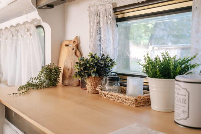 Interior of home, windowsill with flower, indoor camper van. Green plant near window, floral decor for house design. Houseplant nature in rv car, natural decoration in pot at wooden surface.