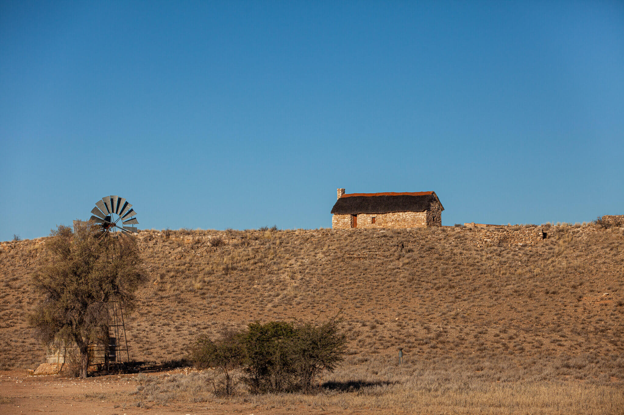 10 Crucial Tips for Homesteading in the Desert - Building A Homestead In The Desert
