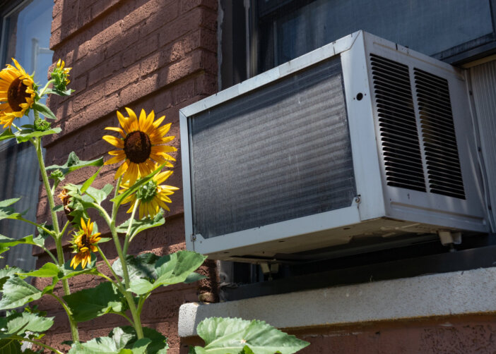 A window air conditioning unit outside an old brick apartment building above a garden with yellow sunflowers during summer in Astoria Queens New York