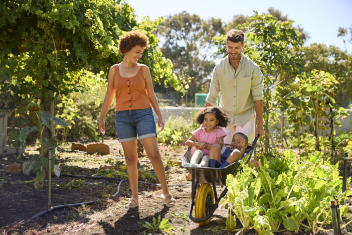 Family With Children Pushed In Barrow By Parents Working In Vegetable Garden Or Allotment