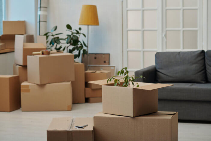10 House Must-Haves List: Your Essential Moving Checklist