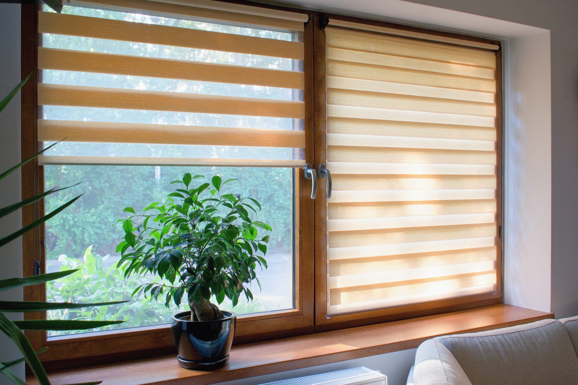 Window roller, duo system day and night. Cozy home interior.