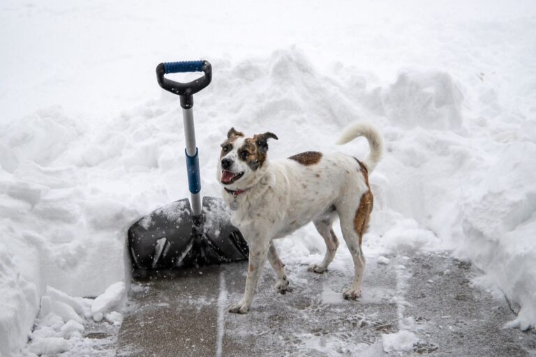 12 Best Compact Snow Shovels for Tiny Home Living That Maximize Space