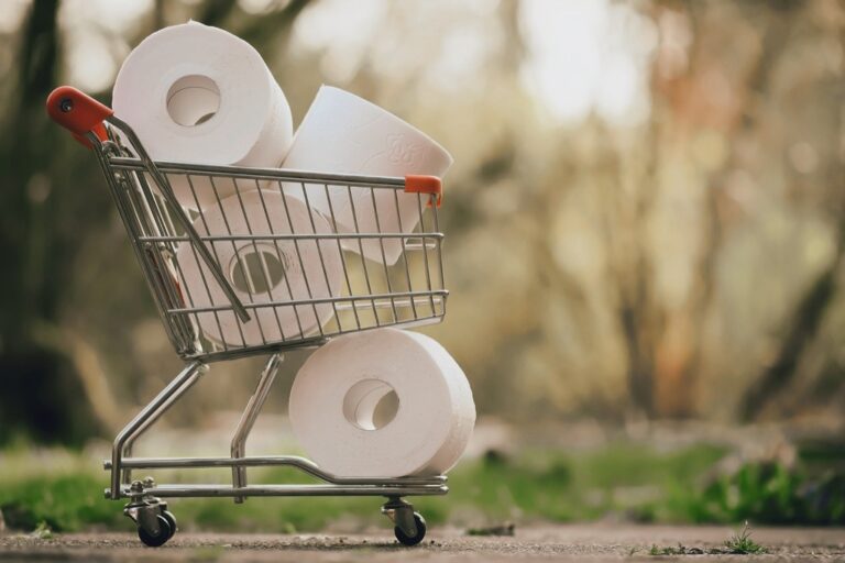 10 Best Toilet Paper for Composting Toilets in RVs That Save Without Sacrifice