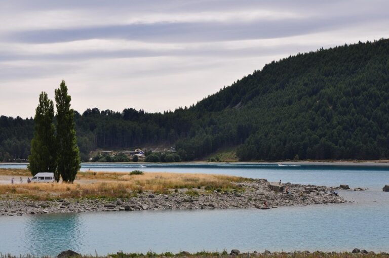 11 Creative Ways to Conserve Water in RV Living That Enable Off-Grid Freedom