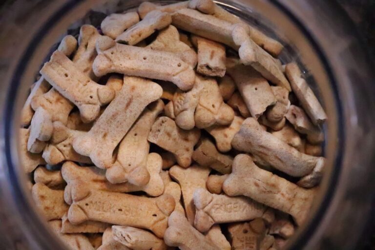 10 Best Pet Food Storage Solutions for Van Life That Maximize Every Inch