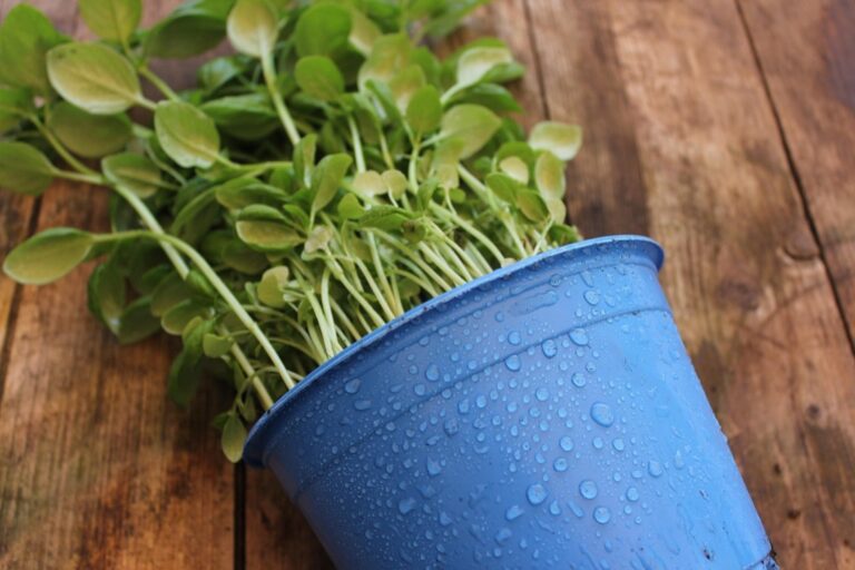 10 Best Hanging Planters for RV Balconies That Maximize Every Inch
