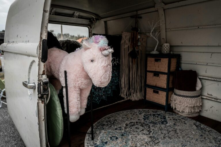 12 Storage Solutions for Van Life Essentials That Maximize Every Inch