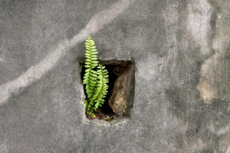 11 Vertical Gardening Techniques for Tiny Living That Maximize Every Inch