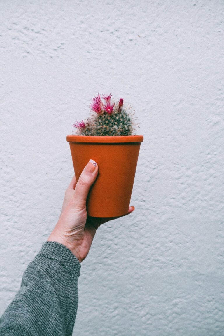 12 Eco-Friendly Hacks for Small Space Living That Save Money & Planet