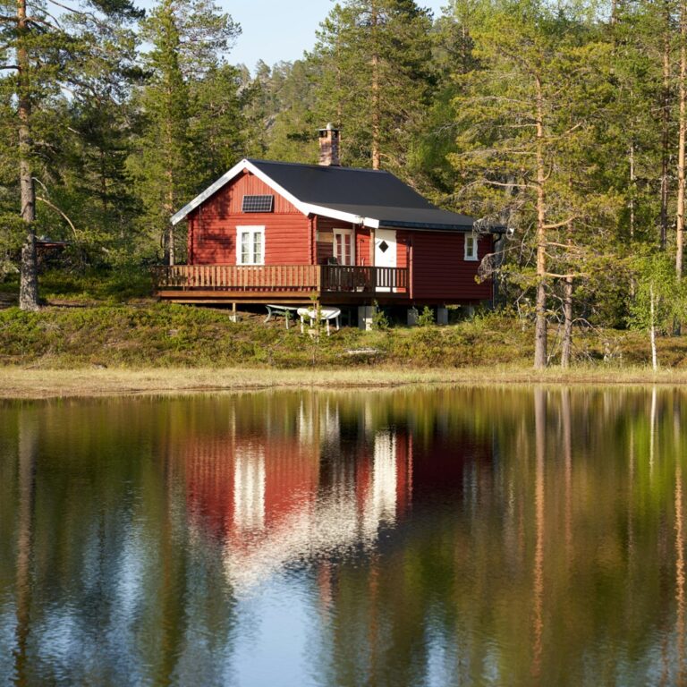 11 Rainwater Management Strategies for Off Grid Living That Power Self-Reliance