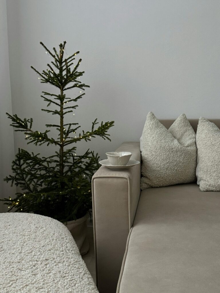 12 Seasonal Climate Control Tips for Tiny Homes That Maximize Comfort