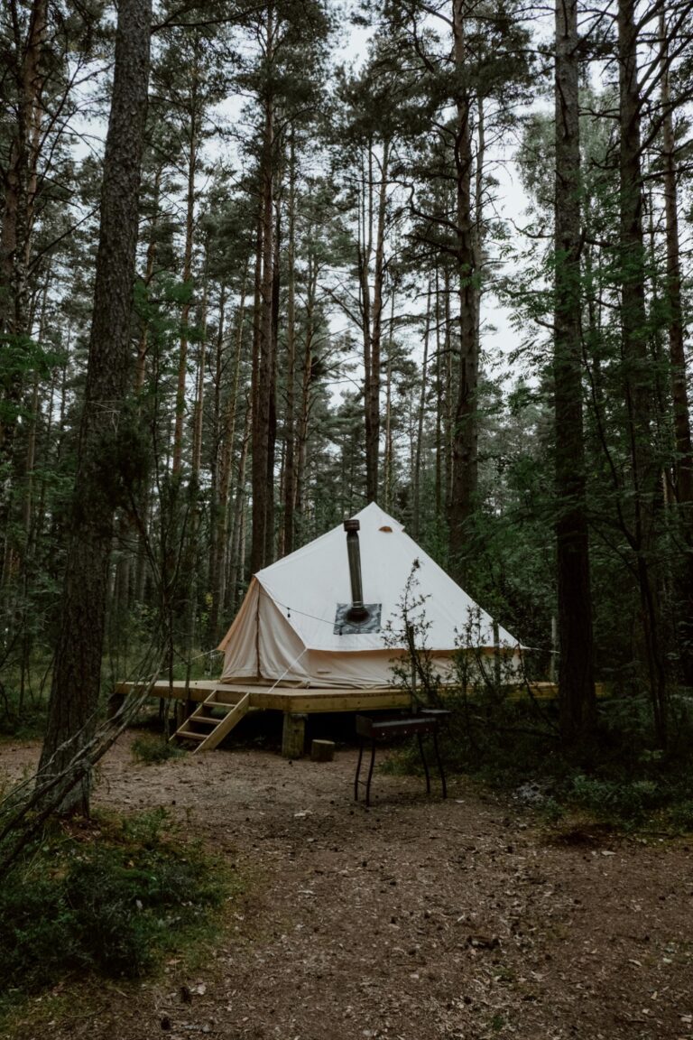 11 Sustainable Energy Plans for RV Travel That Power Total Freedom