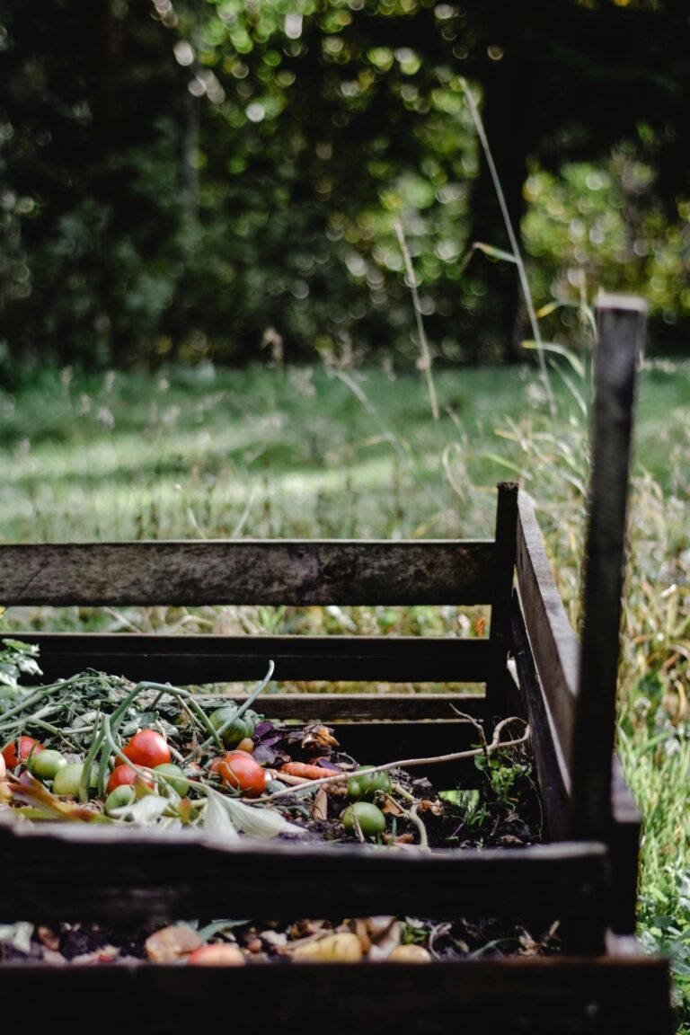 10 Best Portable Compost Bins for Eco-Friendly Waste That Lower Your Footprint
