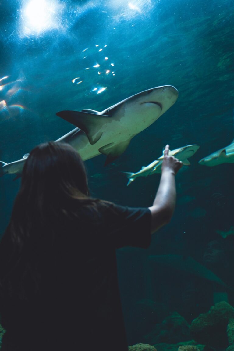 11 Tank Care Strategies While Traveling That Keep Fish Thriving