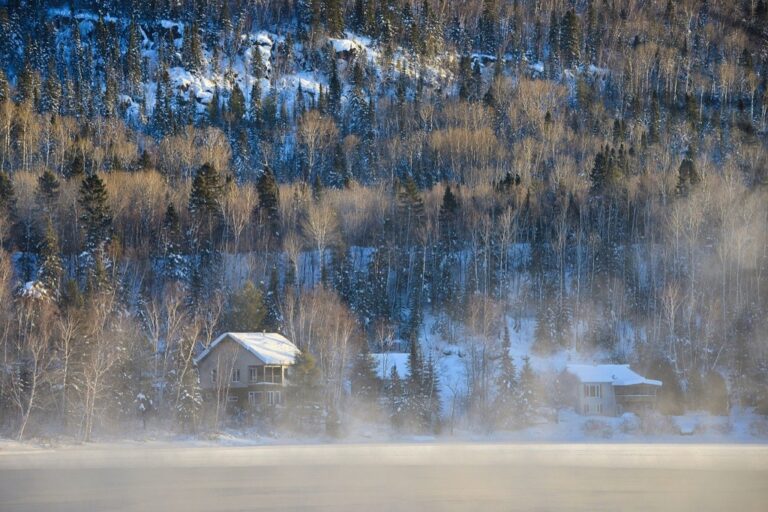 7 Tips for Maintaining Propane Efficiency in Cold Weather That Slash Winter Bills