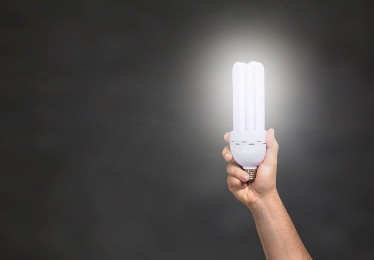 5 Best Energy-Efficient Bulbs for Tiny Homes That Lower Your Bills