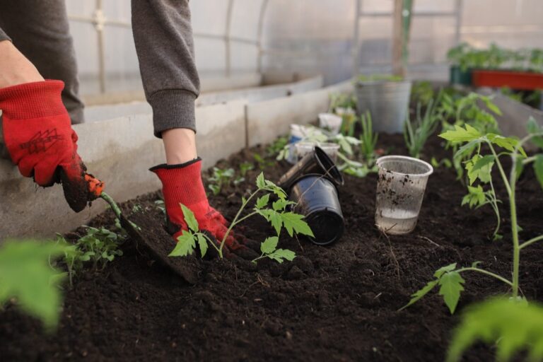 7 Ways to Maximize Garden Productivity in Small Spaces | Harvest More with Less