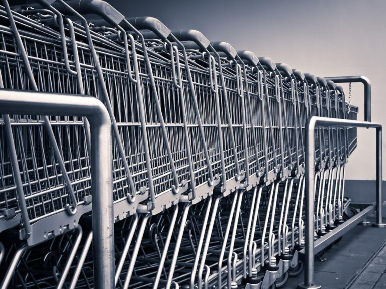 5 Best Foldable Grocery Carts for RV Shopping That Maximize Every Inch