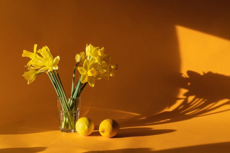 5 Best Eco-Friendly Air Fresheners for Tiny Homes That Maximize Health & Space