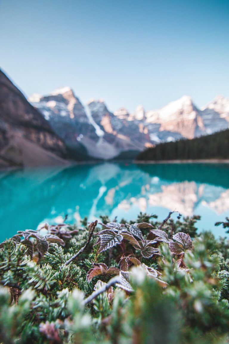 7 Alternative Water Sources for RV Owners That Support Self-Reliance