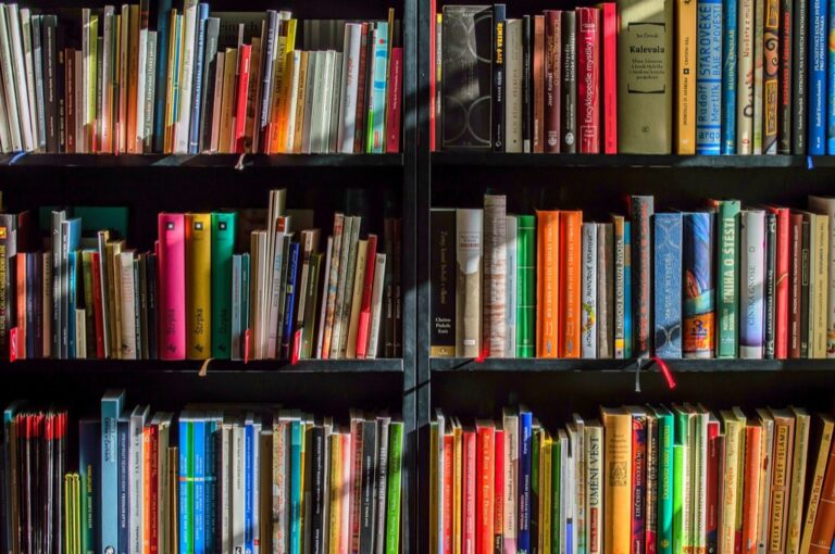 7 Best Portable Book Storage Solutions for Nomadic Lifestyles That Travel Light
