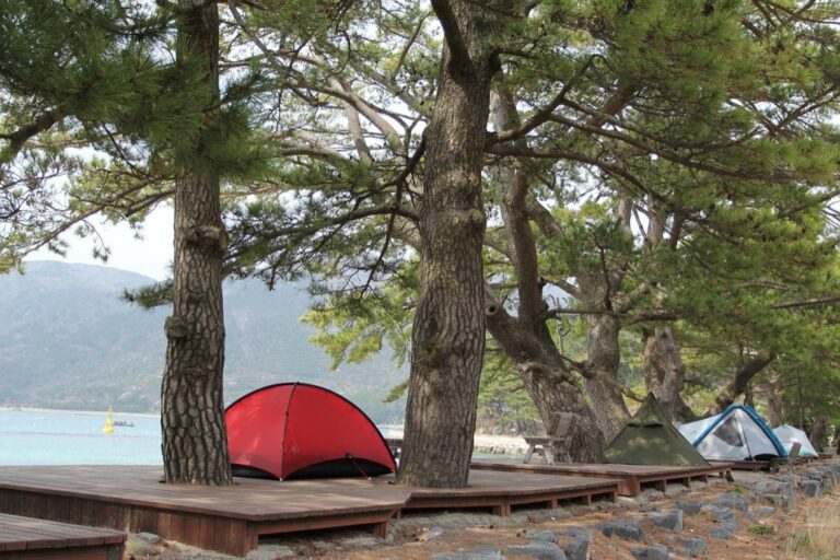 5 Best Hammocks for Relaxing in Campground Settings That Nomads Swear By