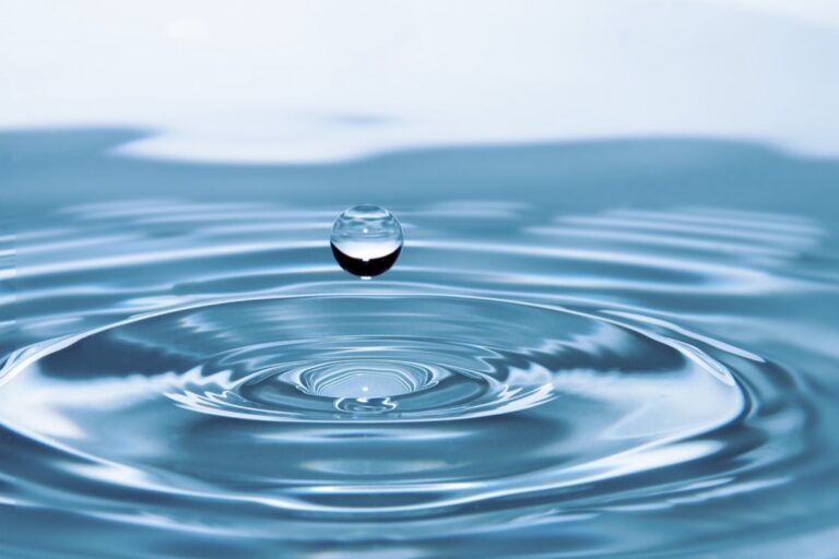 5 Best Water Filters Based on Regional Contaminants That Protect Your Family