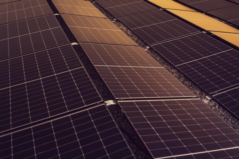 5 Best Foldable Solar Panels for Camping That Power Your Adventure