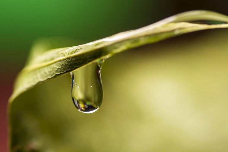 5 Best Self-Cleaning Water Filters for Minimal Maintenance: Save Without Sacrifice