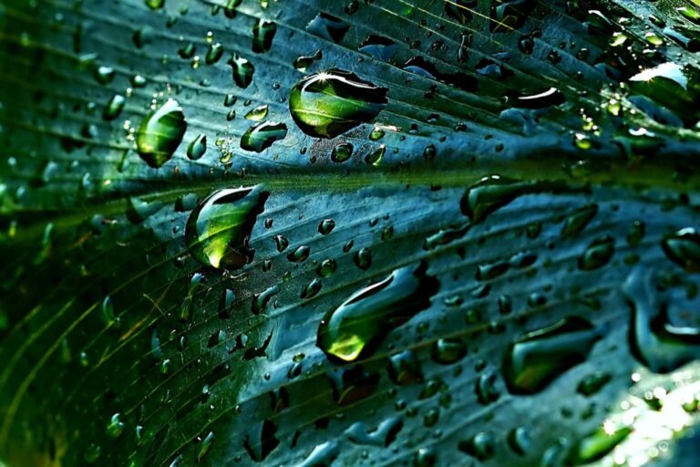 7 Community Rainwater Sharing Ideas for Tiny Living That Support Self-Reliance
