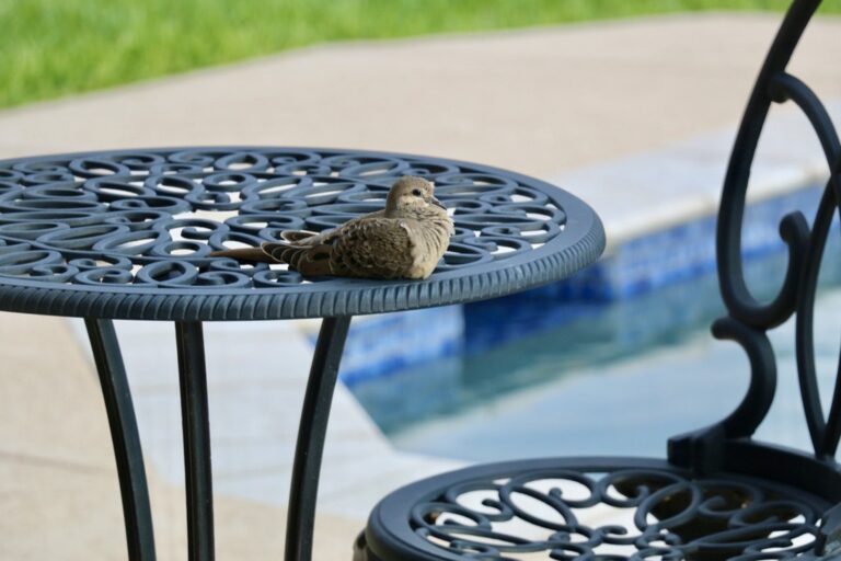 5 Best Outdoor Furniture Pieces That Fold for Storage & Maximize Space