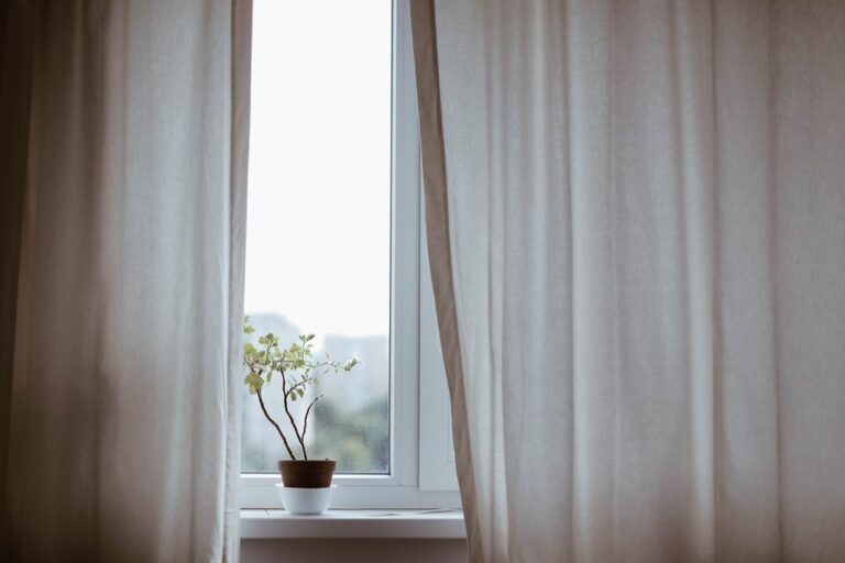 5 Best Easy-Care Houseplants for Tiny Homes That Maximize Every Inch