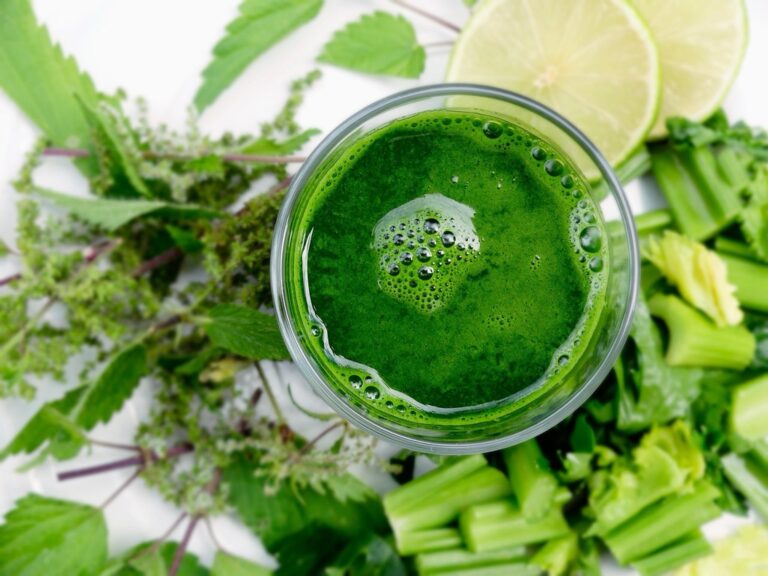 5 Best Portable Blenders for RV Kitchens That Maximize Nutrition On-The-Go
