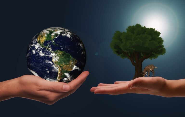 7 Best Eco-Conscious Greywater Solutions For Home Use: Slash Bills By 40%