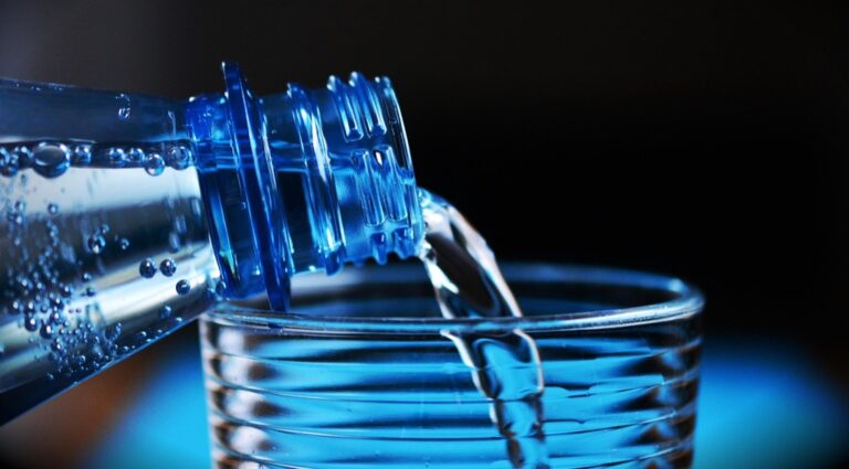 5 Best Portable Water Dispensers for Pets on the Go – Never Leave Them Thirsty