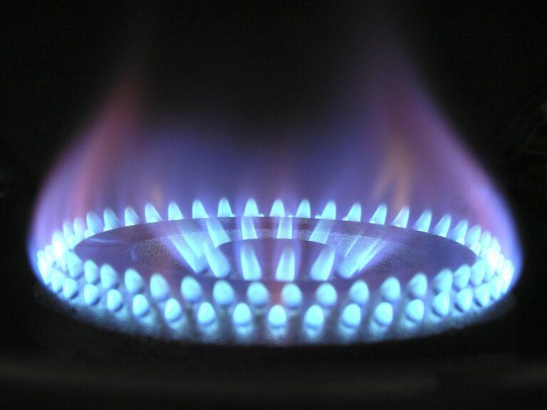 5 Best Propane Safety Courses for RV Dwellers That Save Lives