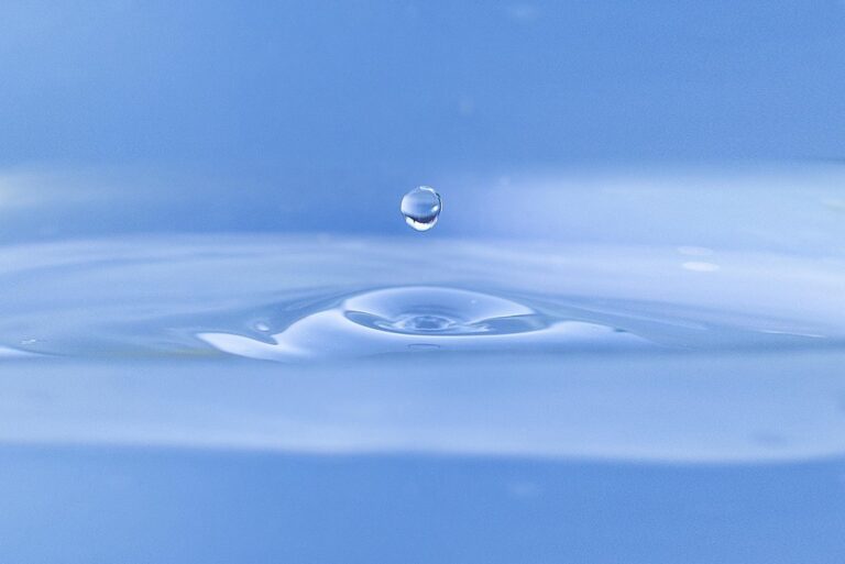 7 Key Differences Between Composting Toilets and Traditional Plumbing: Save Water & Money