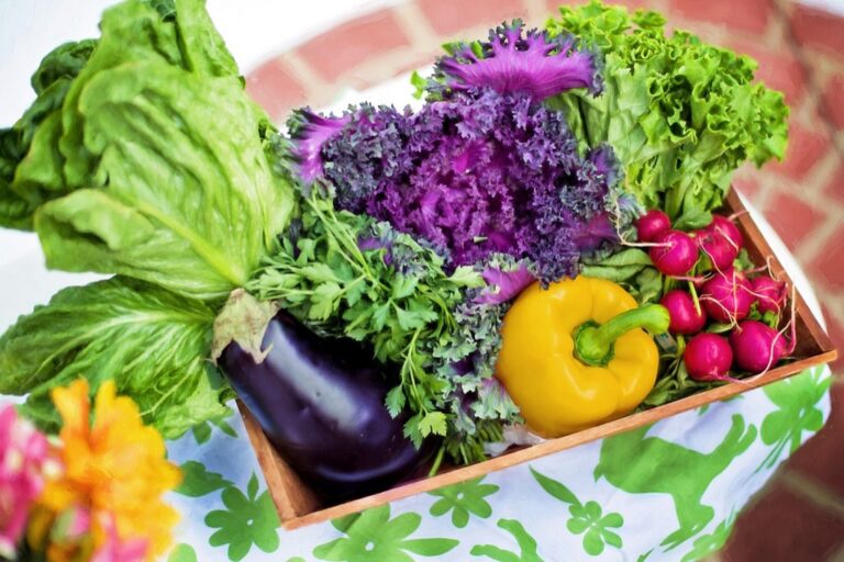 10 Organization Tips for Small Space Gardening That Maximize Every Inch