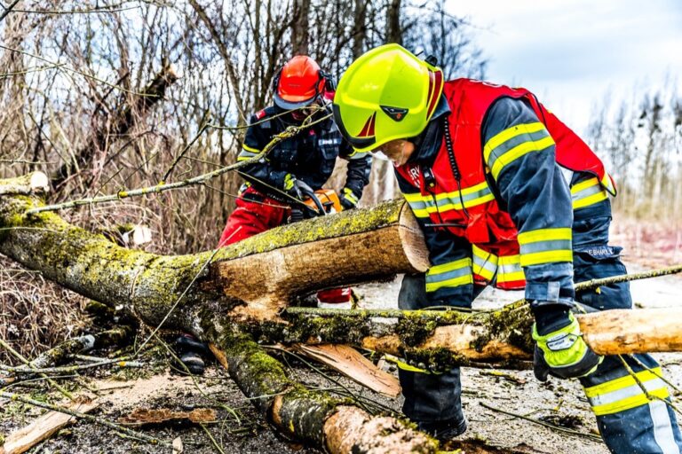 7 Ways to Assess Storm Damage to Your Home: Protect Your Investment