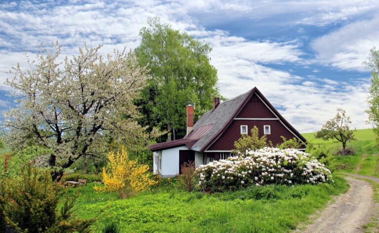 7 Best Eco-Friendly Gardening Supplies for Tiny Homes: Maximize Every Inch