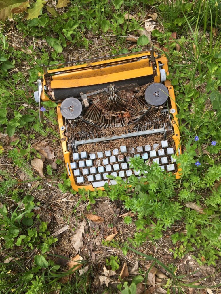 7 Best Practices for Responsible Waste Disposal in Nature | Protect Our Trails