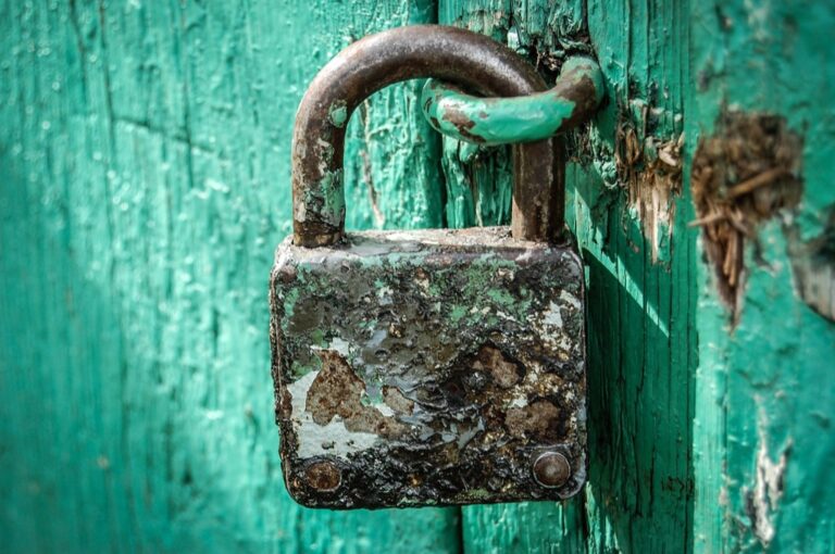 5 Best Remote Access Locking Systems for Tiny Homes That Enable Freedom