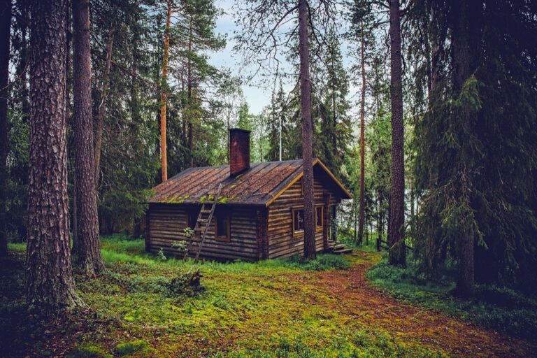 7 Tiny Home Insurance Myths and Facts Explained: Protect Without Overpaying