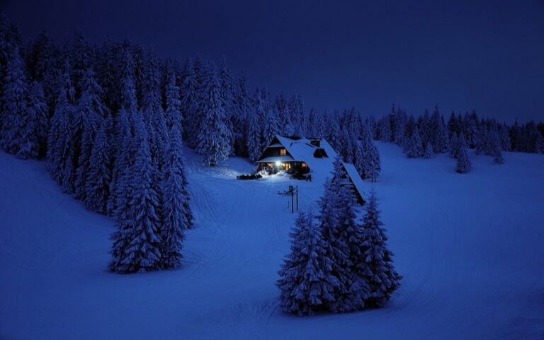 5 Best Skirting Options for Tiny Homes in Cold Climates That Cut Heating Bills
