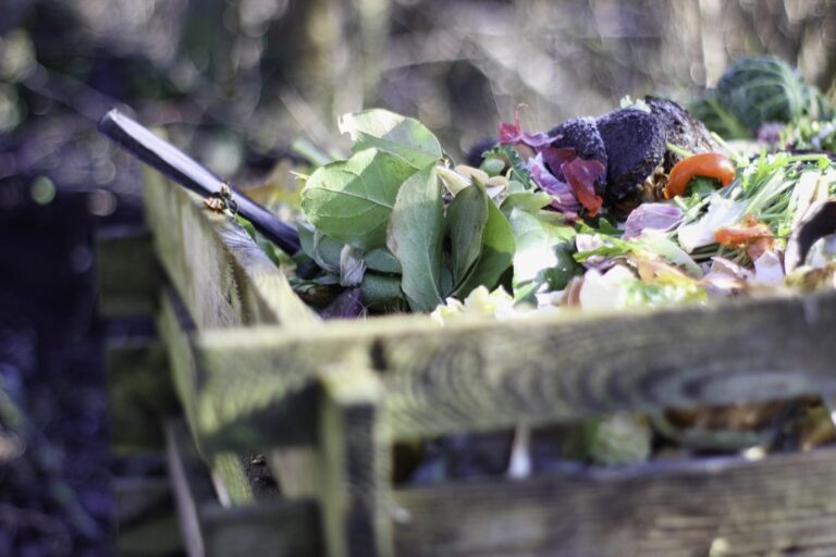 5 Best Compost Tea Brewers for Small Space Gardening: Maximize Every Inch