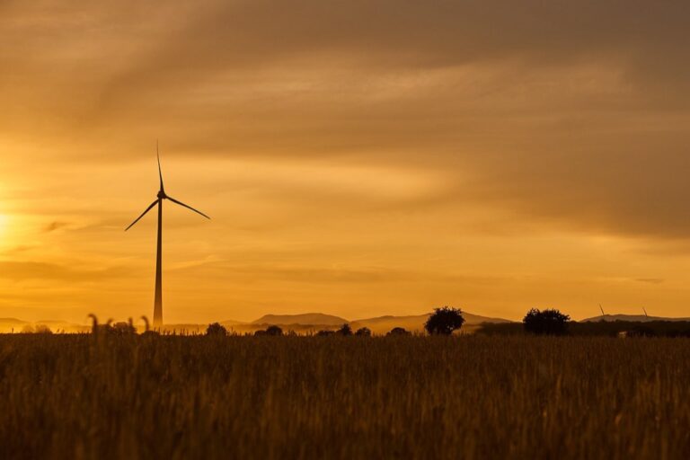 7 Best Sustainable Tank Monitoring Options for Eco-Living That Lower Your Footprint