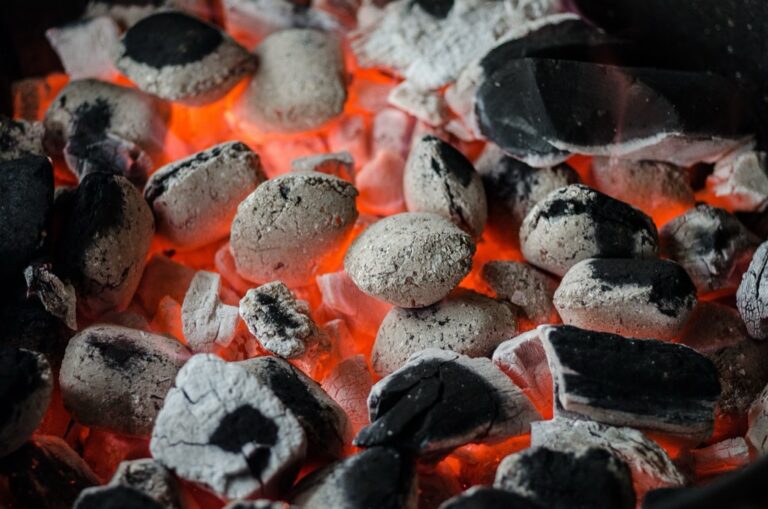 5 Best Propane Barbecue Grills for Mobile Living That Save Space & Fuel