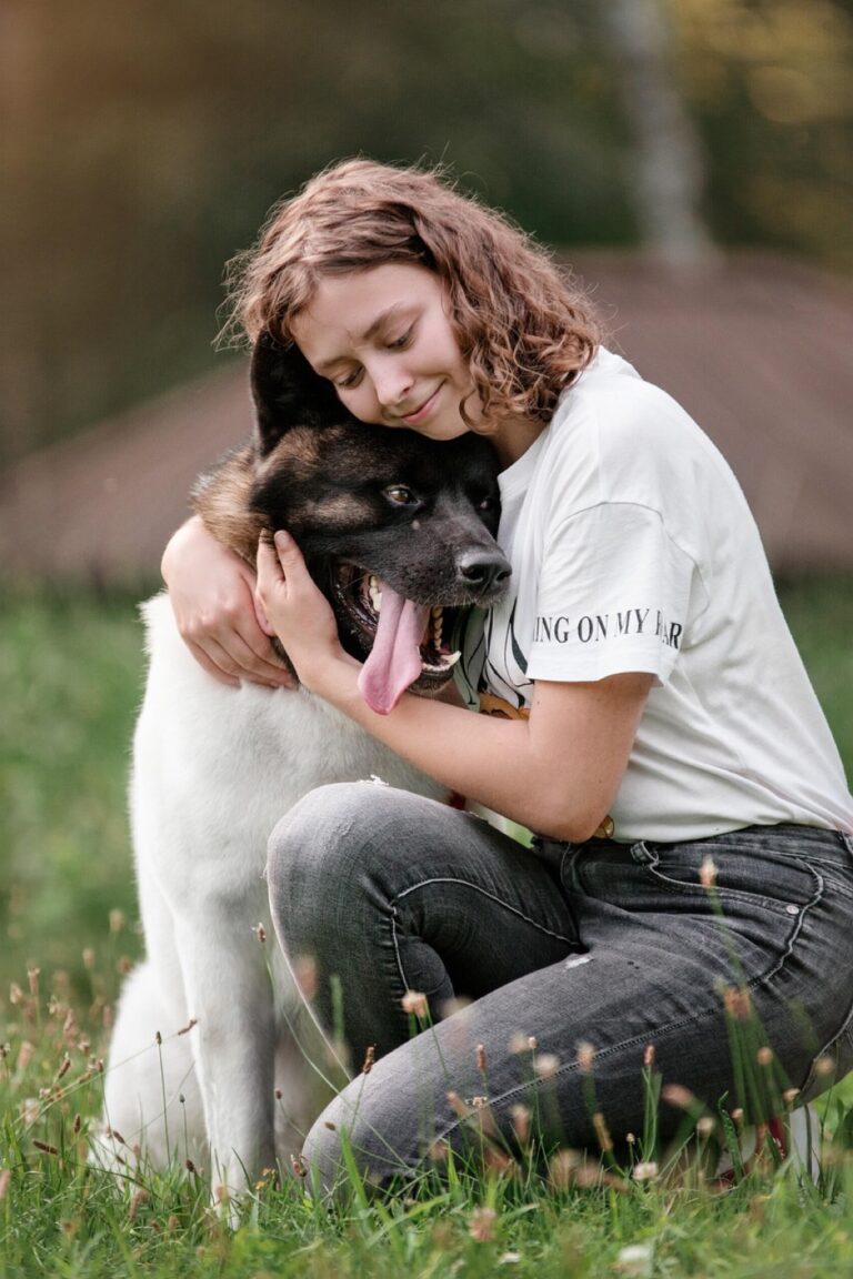 7 Innovative Pet Storage Solutions for RV Living: Maximize Every Inch
