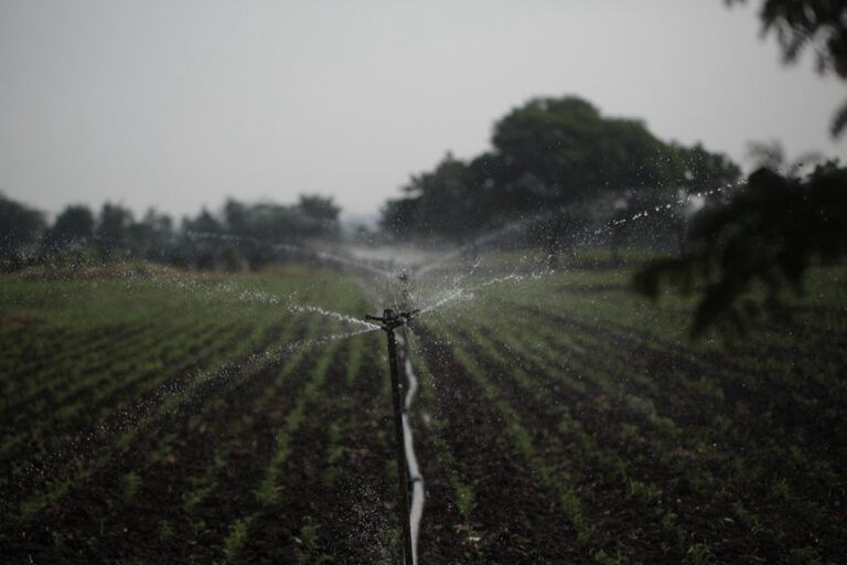 7 Best Sustainable Greywater Management Practices That Lower Your Footprint
